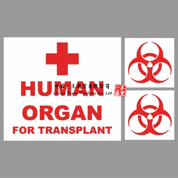 Nakli için insan Organı-Tıbbi Ambulans Araba Van Dizüstü çıkartma