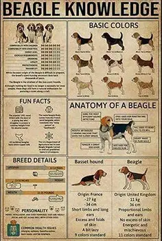 Metal İşareti Bilgi Posteri Beagle Teneke İşaretleri Yeni Yıl Paskalya Duvar Dekorasyon Bar Pub Aile Cafe SignsGifts Arkadaşlar Aile için