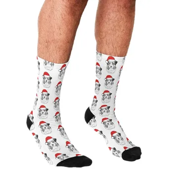 Erkek çorapları Noel Çoban Santa Aussie Köpek Tatil Çorap harajuku Erkekler Mutlu hip hop Yenilik Ekip Rahat Çılgın Çorap erkekler için
